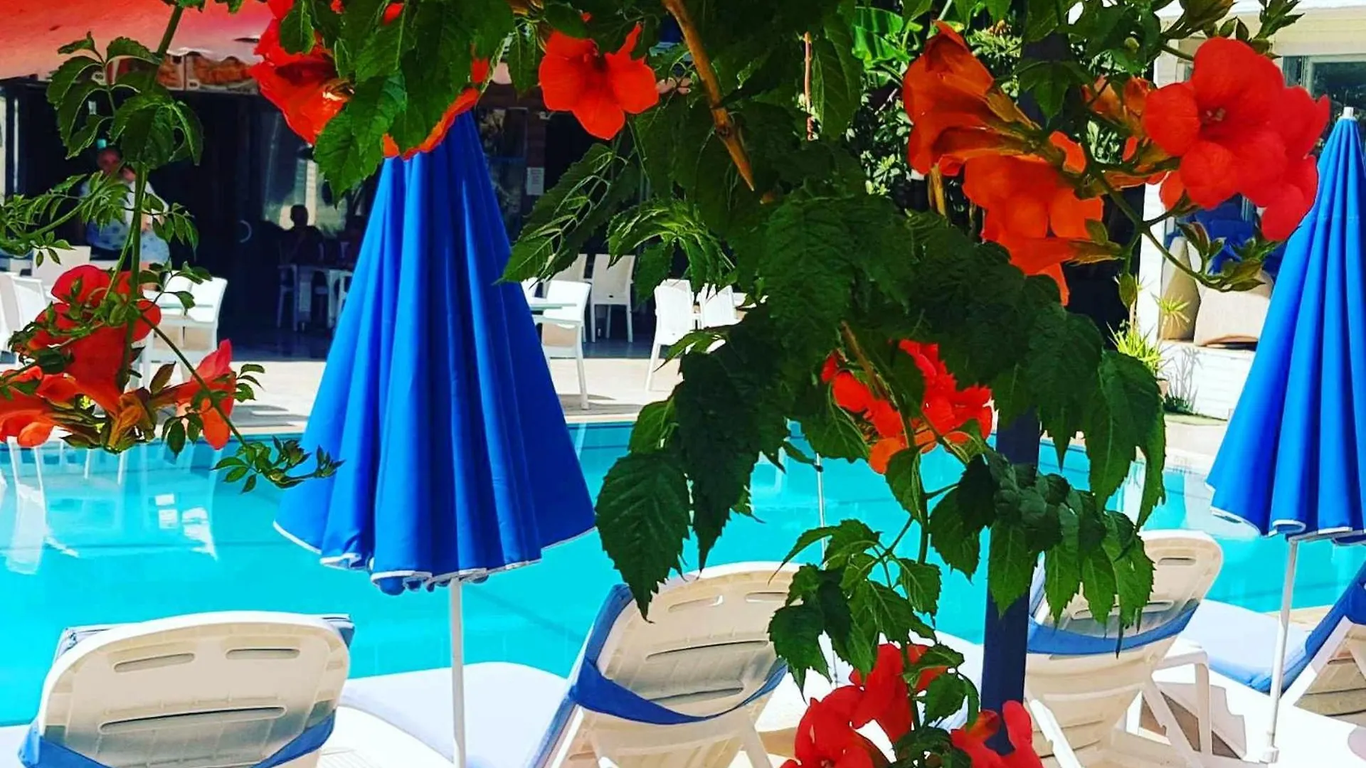 Alis Hotel Fethiye